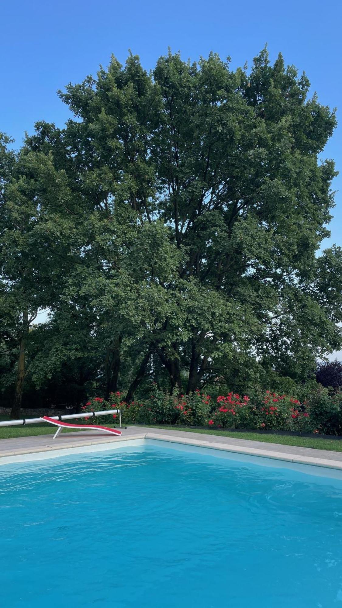 Myvilla Suites Palazzo Canavese 외부 사진